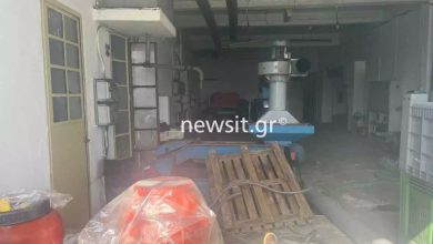 Χαλκιδική: Πάνω από 80 τόνοι λάδι εξαφανίστηκαν από τον Συνεταιρισμό στον Πολύγυρο – Υπεξαίρεση «βλέπει» η ΕΛΑΣ