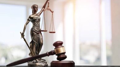 Γιάννα Κοντοκώστα, Υπεύθυνη Διόρθωσης