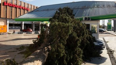 Καιρός – Θεσσαλονίκη: Φύσηξε προβλήματα στην πόλη – 150 κλήσεις για βοήθεια δέχθηκε η Πυροσβεστική