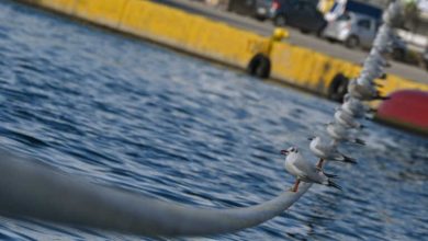 Πλοίο έμεινε δεμένο στο λιμάνι της Κυλλήνης λόγω βλάβης – Ταλαιπωρία για 188 επιβάτες