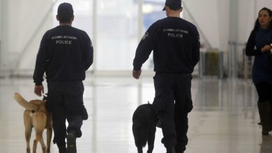 Αλεξανδρούπολη: Επιχείρηση για τον εντοπισμό ναρκωτικών με τη βοήθεια αστυνομικού σκύλου – Μία σύλληψη