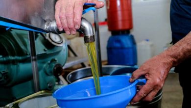 Σύλληψη 39χρονου στη Θεσσαλονίκη που είχε στην κατοχή του ελαιόλαδο αμφιβόλου ποιότητας Σύλληψη 39χρονου στη Θεσσαλονίκη που είχε στην κατοχή του ελαιόλαδο αμφιβόλου ποιότητας