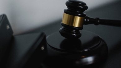 Δήμητρα Ιωακείμοβιτς