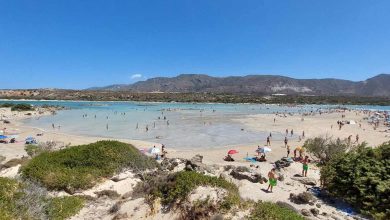 ELAFONHSI-Vagelis-Despotakis-AYGOYSTOS-2023