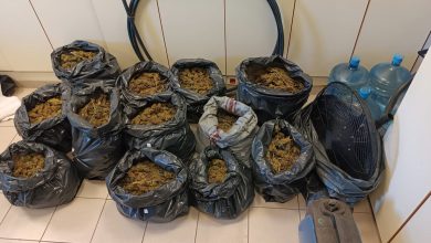 Κόρινθος: Πάνω από 180 κιλά κάνναβης σε αυτοκίνητο που «πιάστηκε» στα διόδια του Κιάτου