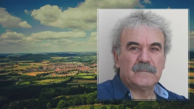 pyrgianakis oikopeda.jpg