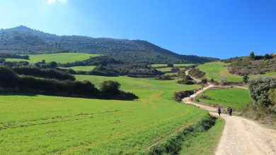 Camino de Santiago 2 1536x784 1