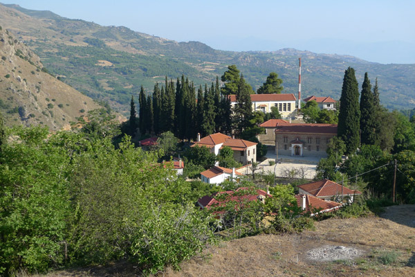 seliana 1