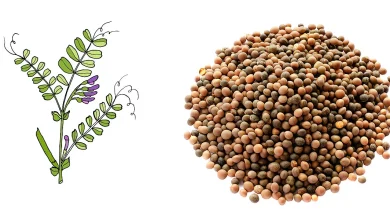 b97a69cb9c4cd1004c1a6a3ce01c90eb vikos new