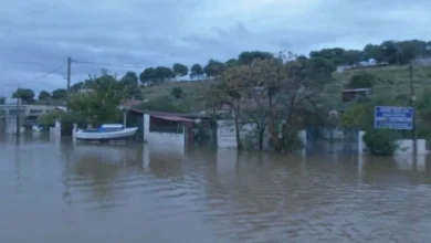 syndeseis 2025 12 05 04 59 46 frame 222159 768x432 1 1