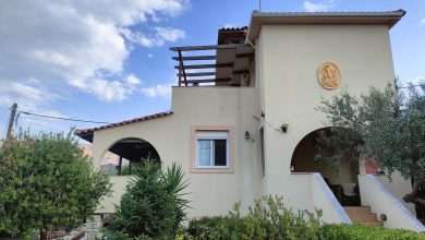 IMG20240817184241 780x470 1