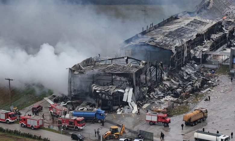 violanta 4 1024x577 1