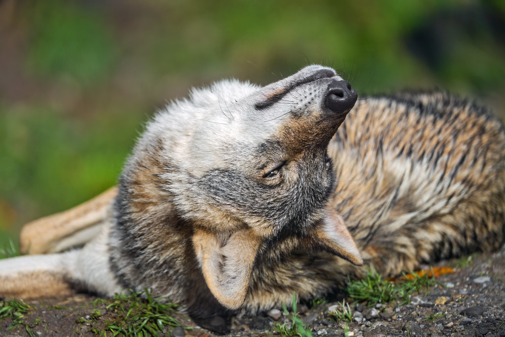 53420099404 606244e3e0 b